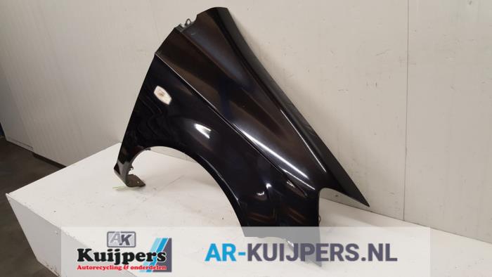 Scherm rechts-voor - Hyundai Getz