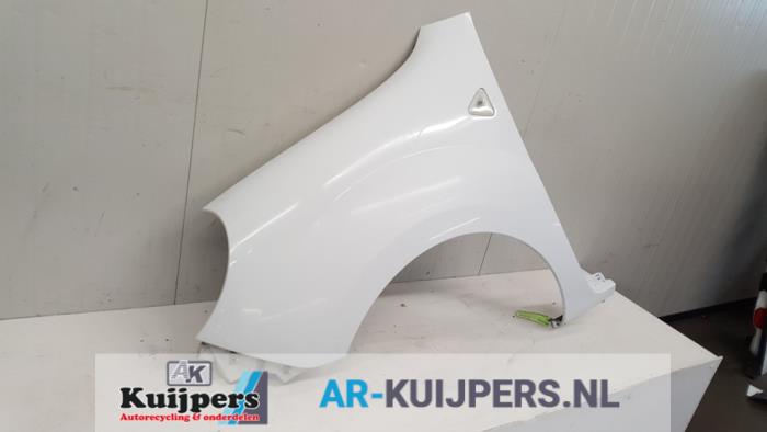 Scherm links-voor - Renault Kangoo