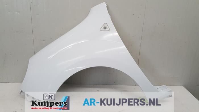 Scherm links-voor - Renault Kangoo