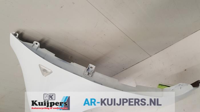Scherm links-voor - Renault Kangoo