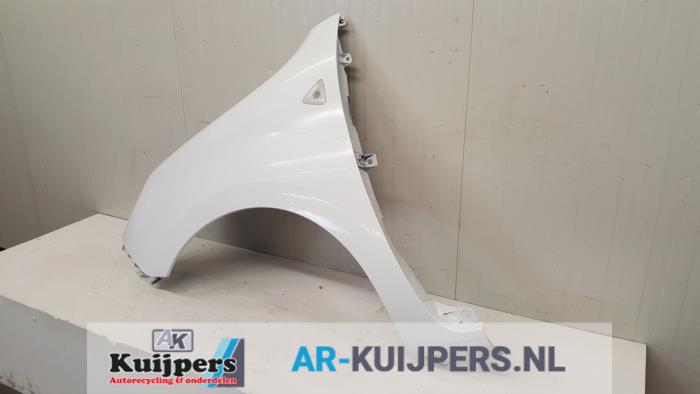Scherm links-voor - Renault Kangoo