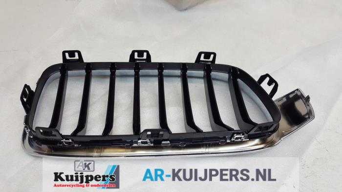 Grille - BMW 3-Serie