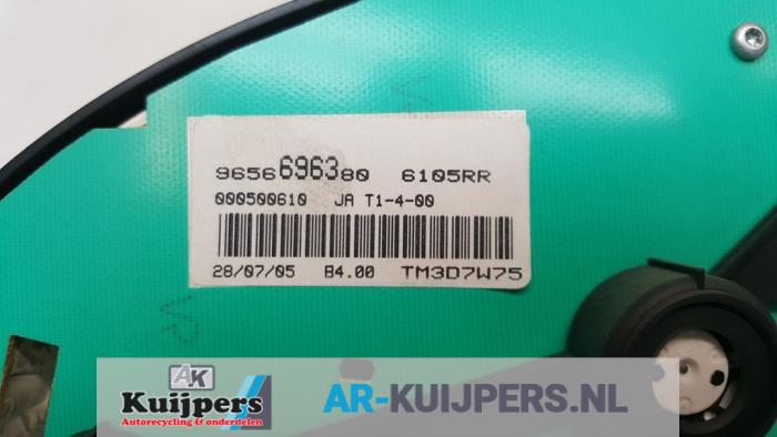 Kilometerteller KM - Peugeot 206