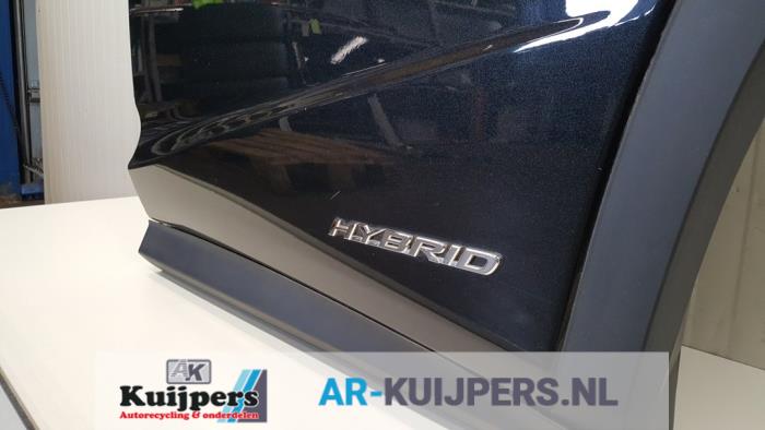 Portier 4Deurs links-achter - Lexus RX 450H