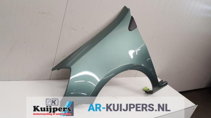 Scherm links-voor - Renault Clio