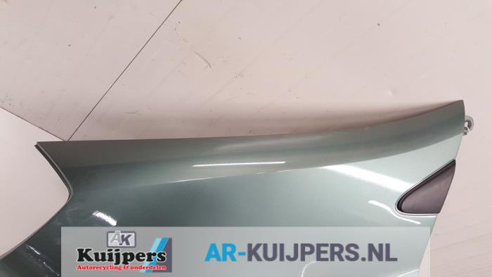 Scherm links-voor - Renault Clio