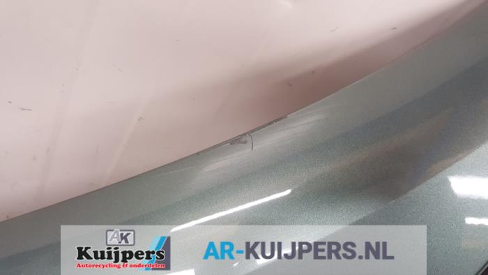 Scherm links-voor - Renault Clio
