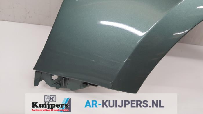 Scherm links-voor - Renault Clio