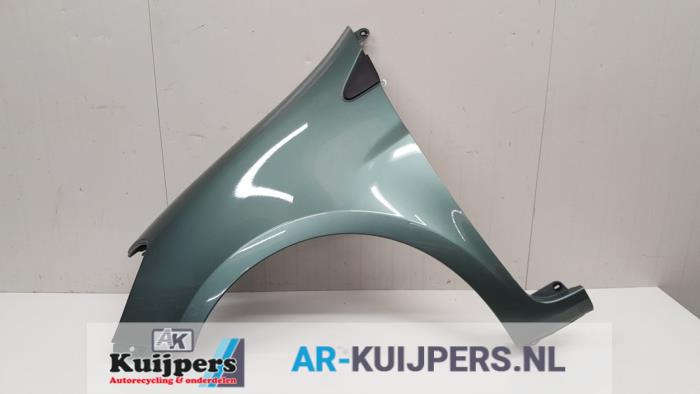 Scherm links-voor - Renault Clio