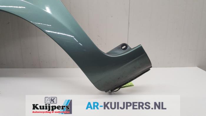 Scherm links-voor - Renault Clio