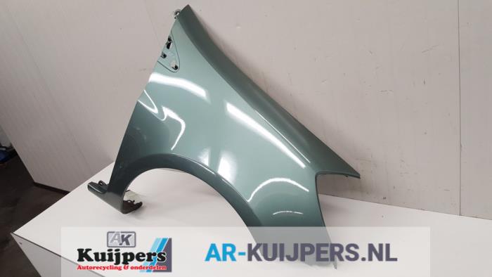 Scherm rechts-voor - Renault Clio