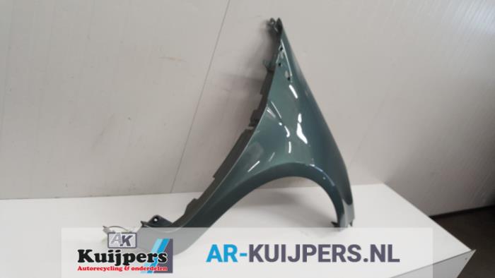 Scherm rechts-voor - Renault Clio