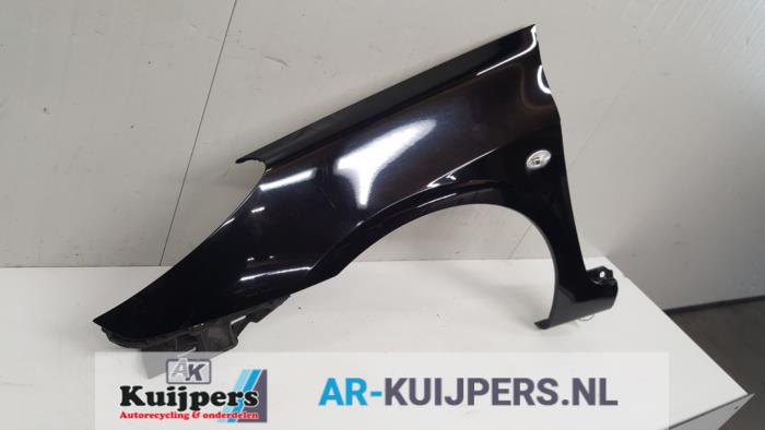 Scherm links-voor - Peugeot 307