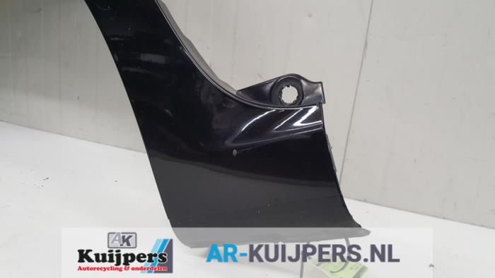 Scherm links-voor - Peugeot 307