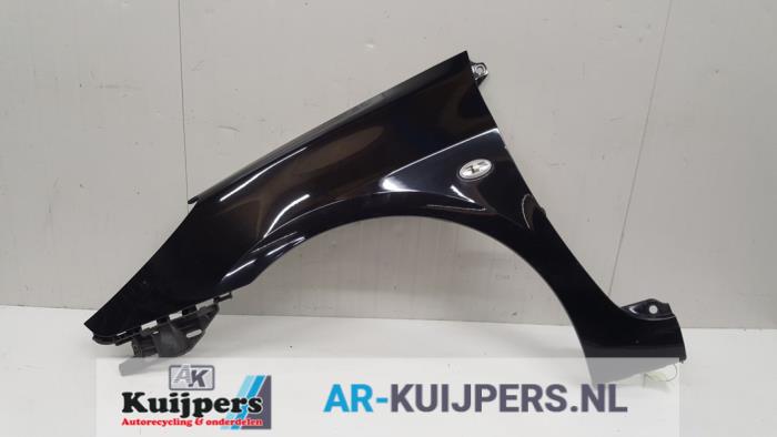 Scherm links-voor - Peugeot 307
