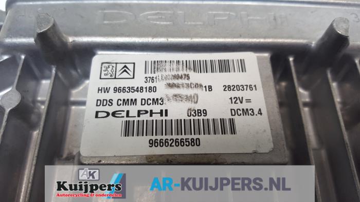 Computer Motormanagement - Peugeot 307