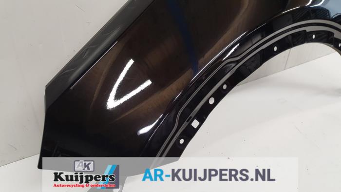 Scherm links-voor - Landrover Discovery