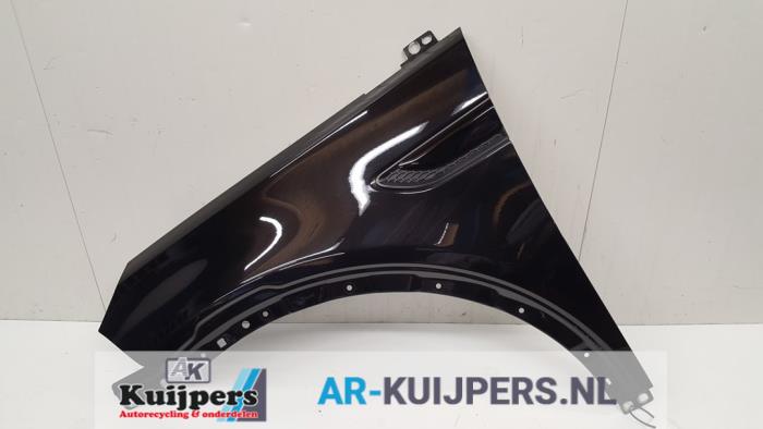 Scherm links-voor - Landrover Discovery