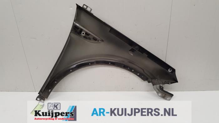 Scherm links-voor - Landrover Discovery