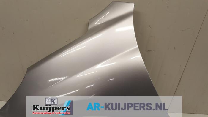 Scherm links-voor - Peugeot 207
