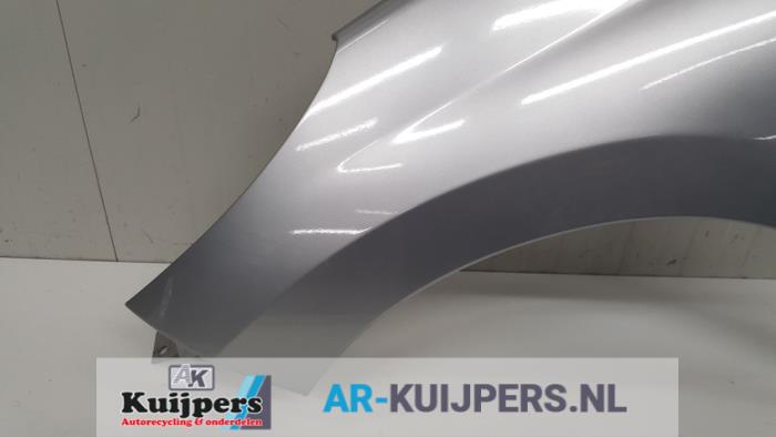 Scherm links-voor - Peugeot 207