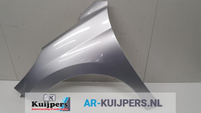 Scherm links-voor - Peugeot 207