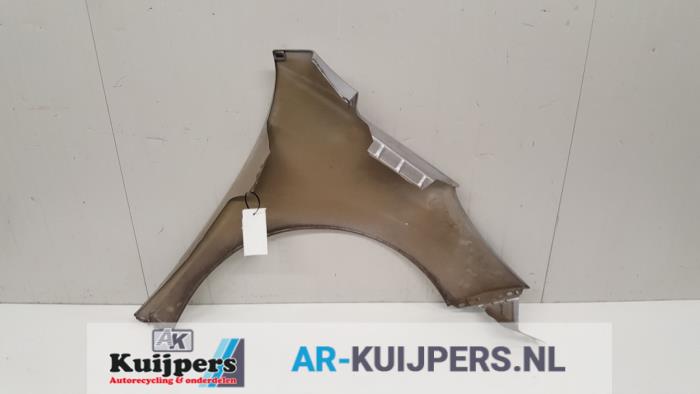 Scherm links-voor - Peugeot 207