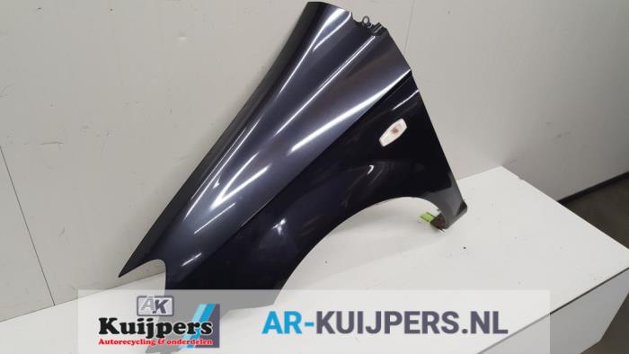 Scherm links-voor - Hyundai Getz