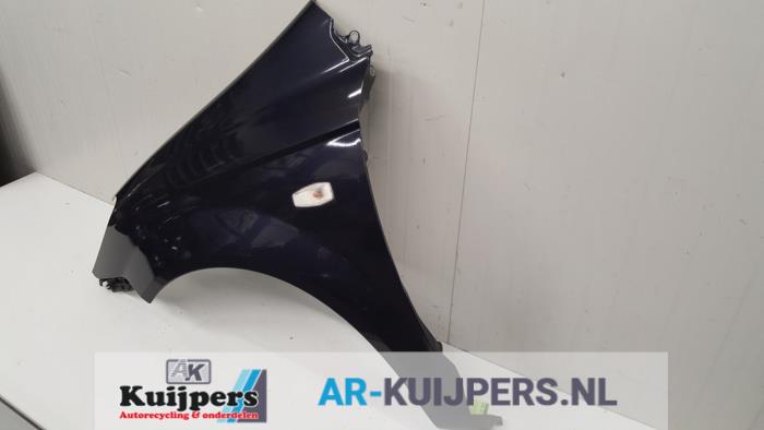 Scherm links-voor - Hyundai Getz