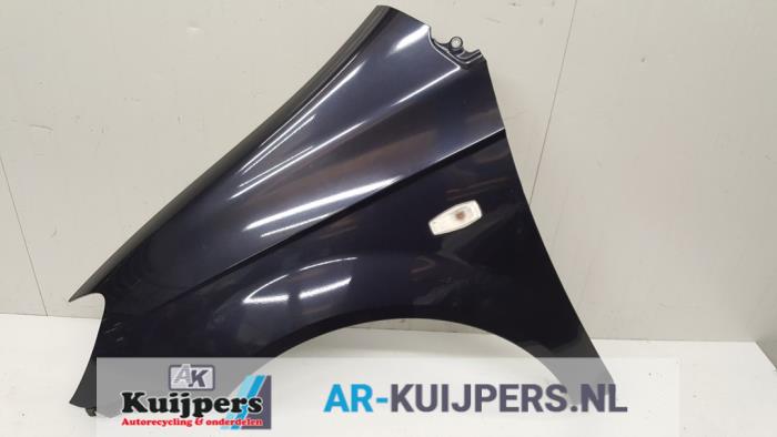 Scherm links-voor - Hyundai Getz