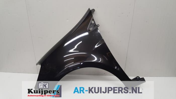 Scherm links-voor - Renault Clio