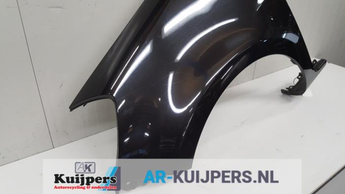 Scherm links-voor - Renault Clio
