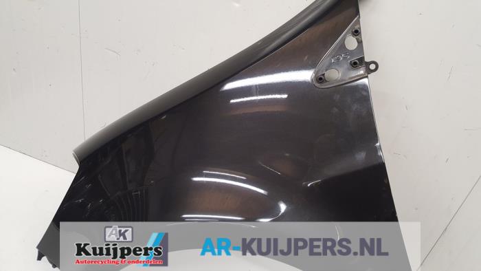 Scherm links-voor - Renault Clio