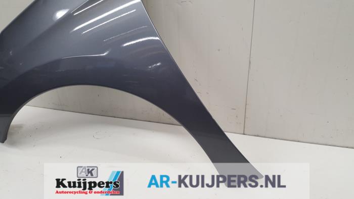Scherm links-voor - Peugeot 207