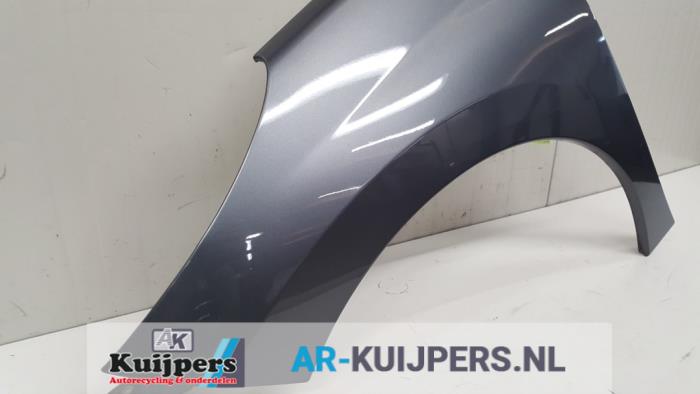 Scherm links-voor - Peugeot 207