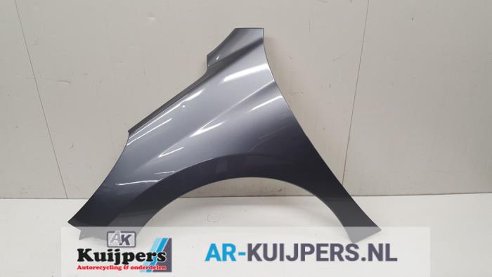 Scherm links-voor - Peugeot 207