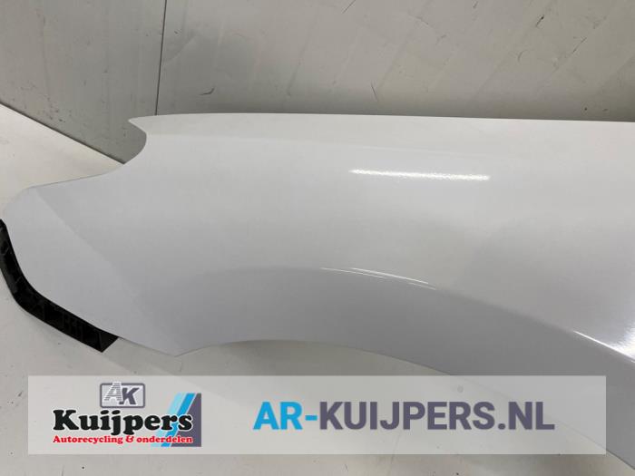 Scherm links-voor - Hyundai I30