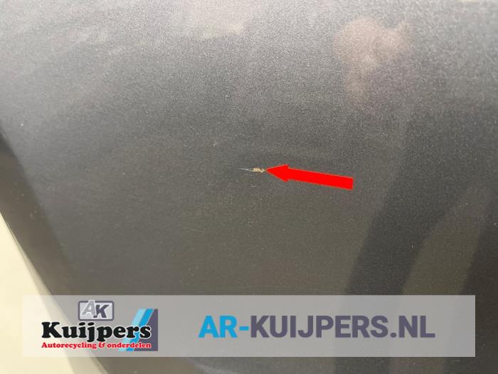 Portier 4Deurs rechts-achter - Audi SQ5