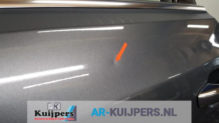 Portier 4Deurs links-achter - Audi SQ5
