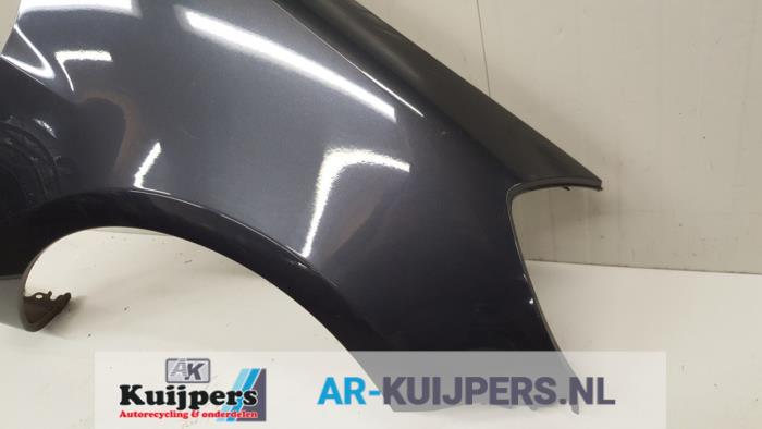 Scherm rechts-voor - Renault Clio