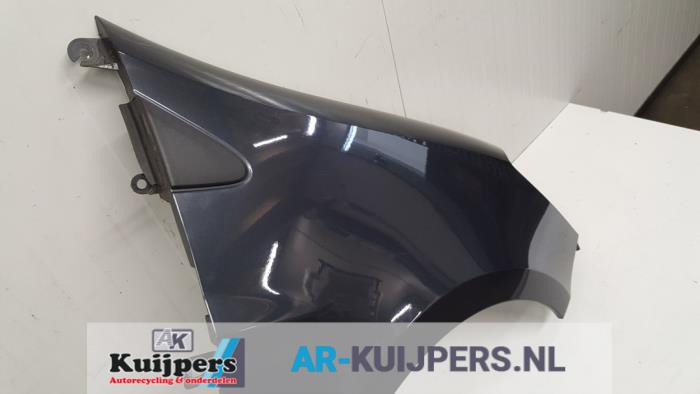 Scherm rechts-voor - Renault Clio