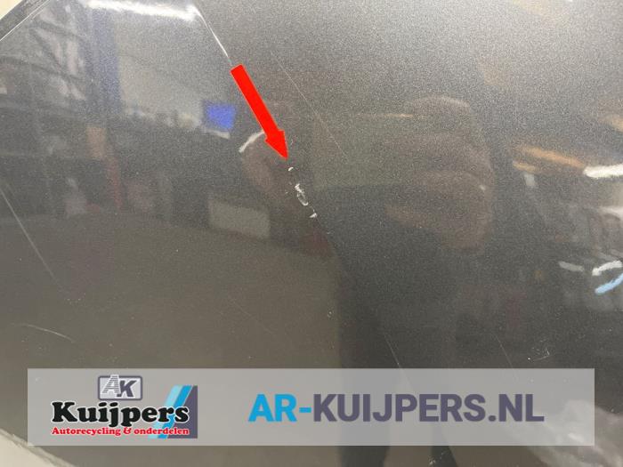 Portier 4Deurs links-achter - Seat Ibiza