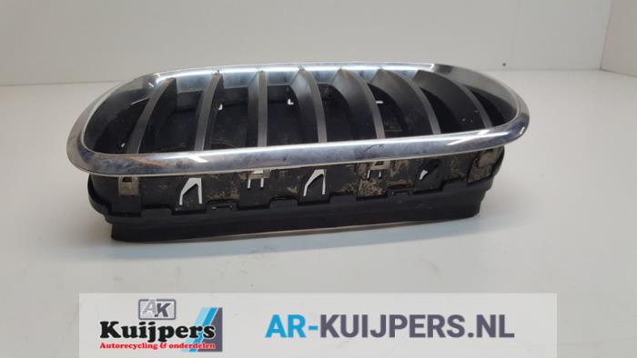 Grille - BMW X5