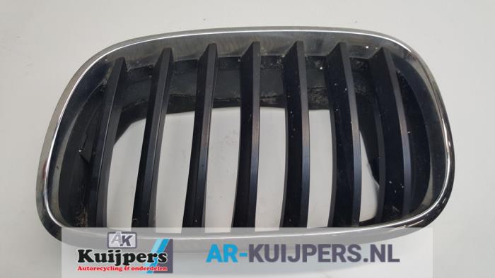 Grille - BMW X5