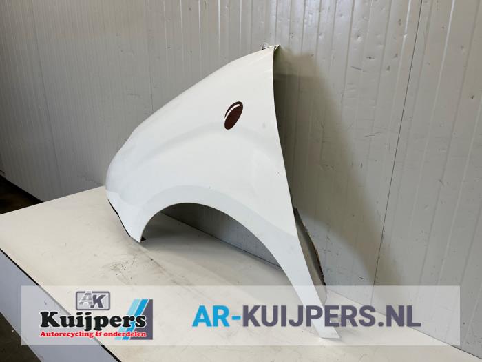 Scherm links-voor - Fiat Doblo