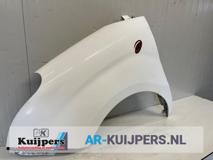 Scherm links-voor - Fiat Doblo