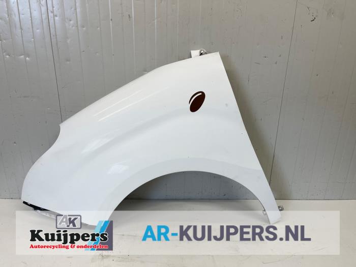 Scherm links-voor - Fiat Doblo