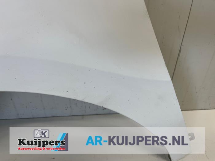 Scherm links-voor - Fiat Doblo