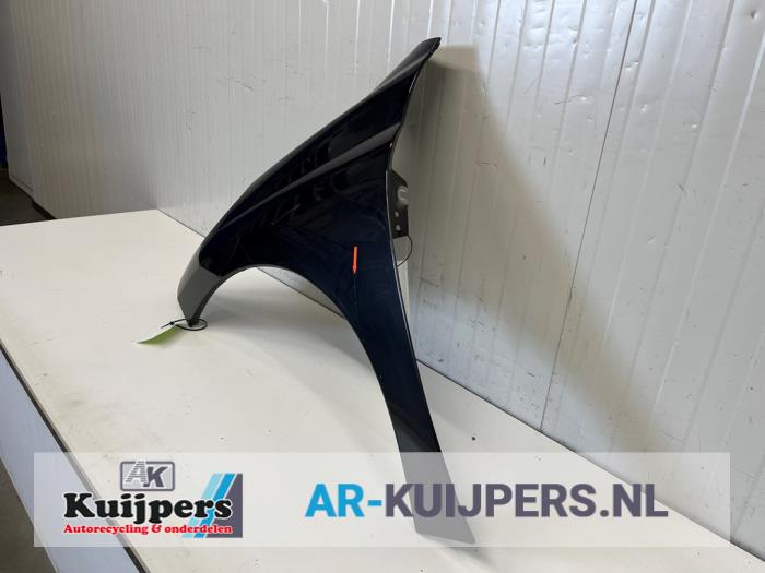 Scherm links-voor - Peugeot 207