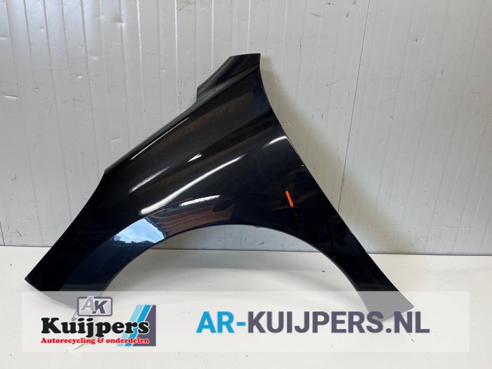 Scherm links-voor - Peugeot 207